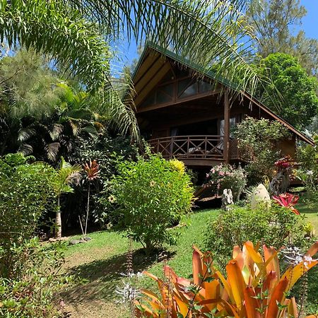 Le Nirvana - Oasis De Tendea - Farino Buitenkant foto