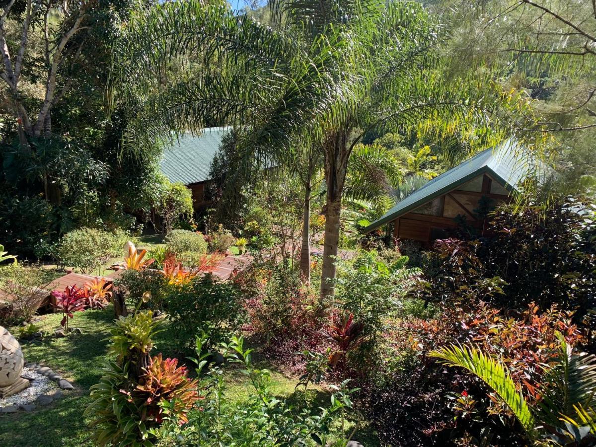 Le Nirvana - Oasis De Tendea - Farino Buitenkant foto