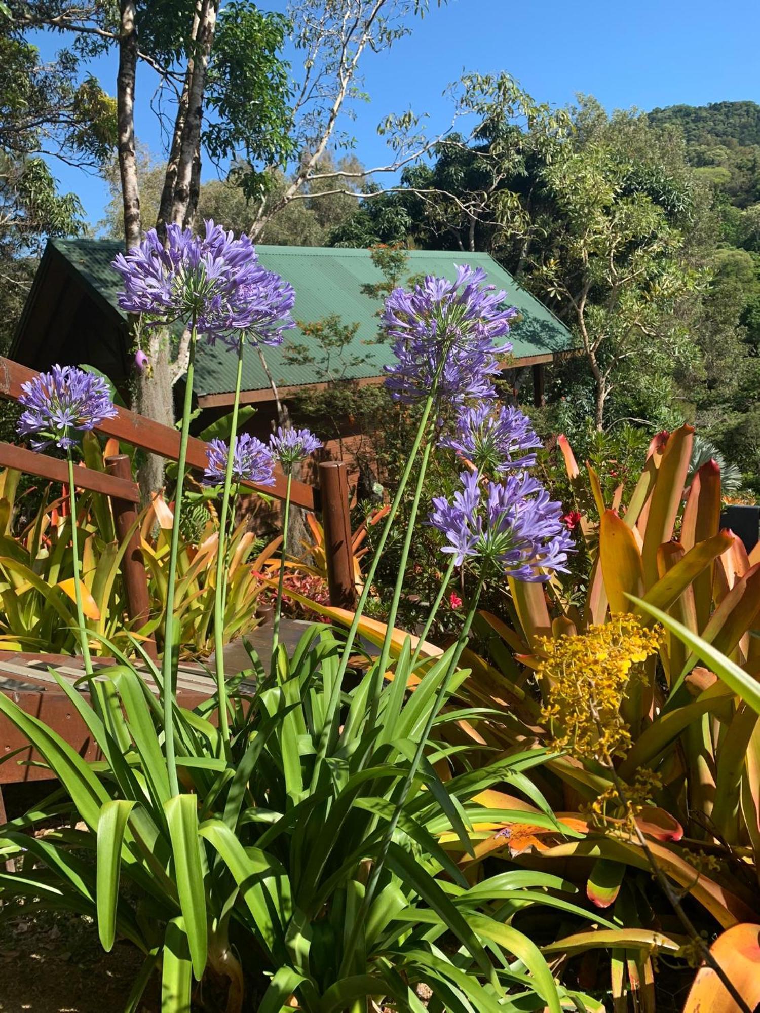 Le Nirvana - Oasis De Tendea - Farino Buitenkant foto